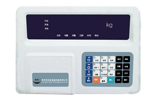 SQX-DS型系列起重電子稱